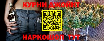 мяу мяу мука Камышлов