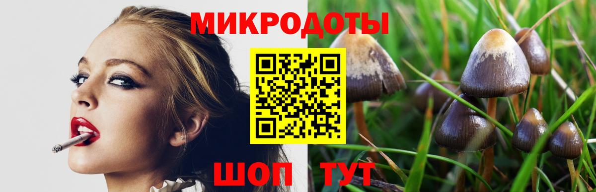 Псилоцибиновые грибы мухоморы Курчалой