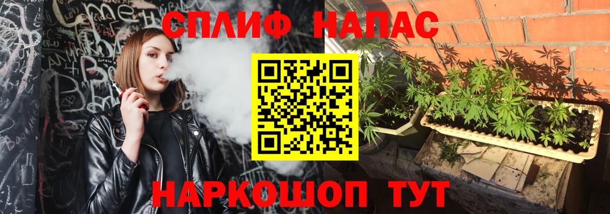 МАРИХУАНА семена Курчалой